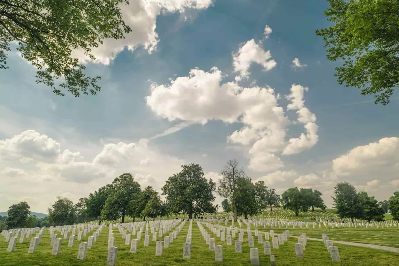 Apple Watch : Apple vous met au défi pour le 11 novembre et le Veterans Day