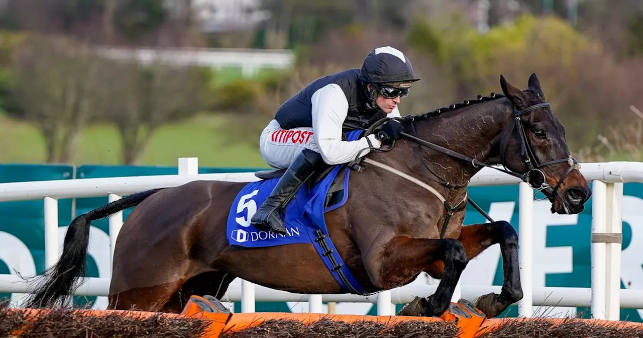 Flooring Porter ruled out for the season in huge blow to Gavin Cromwell