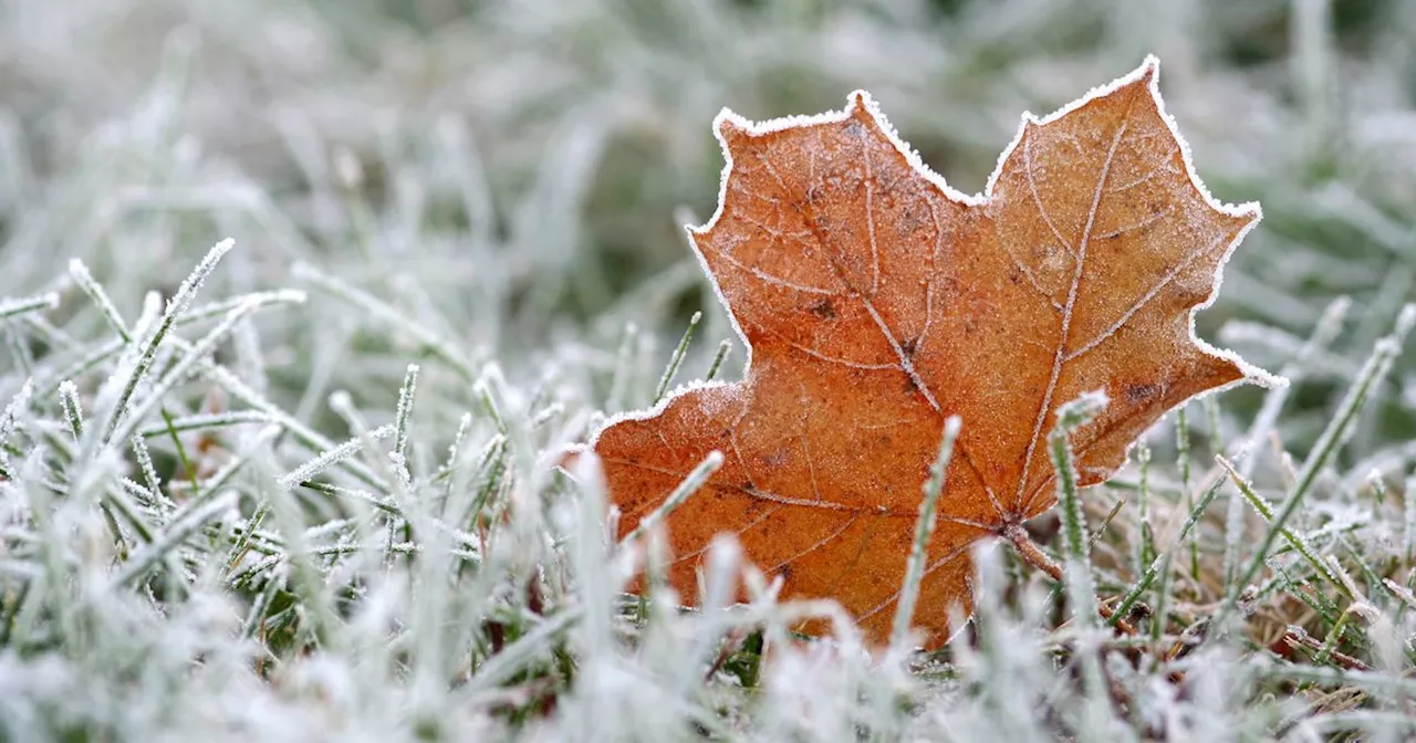 Wet start to the weekend as dramatic drop in temperature looms