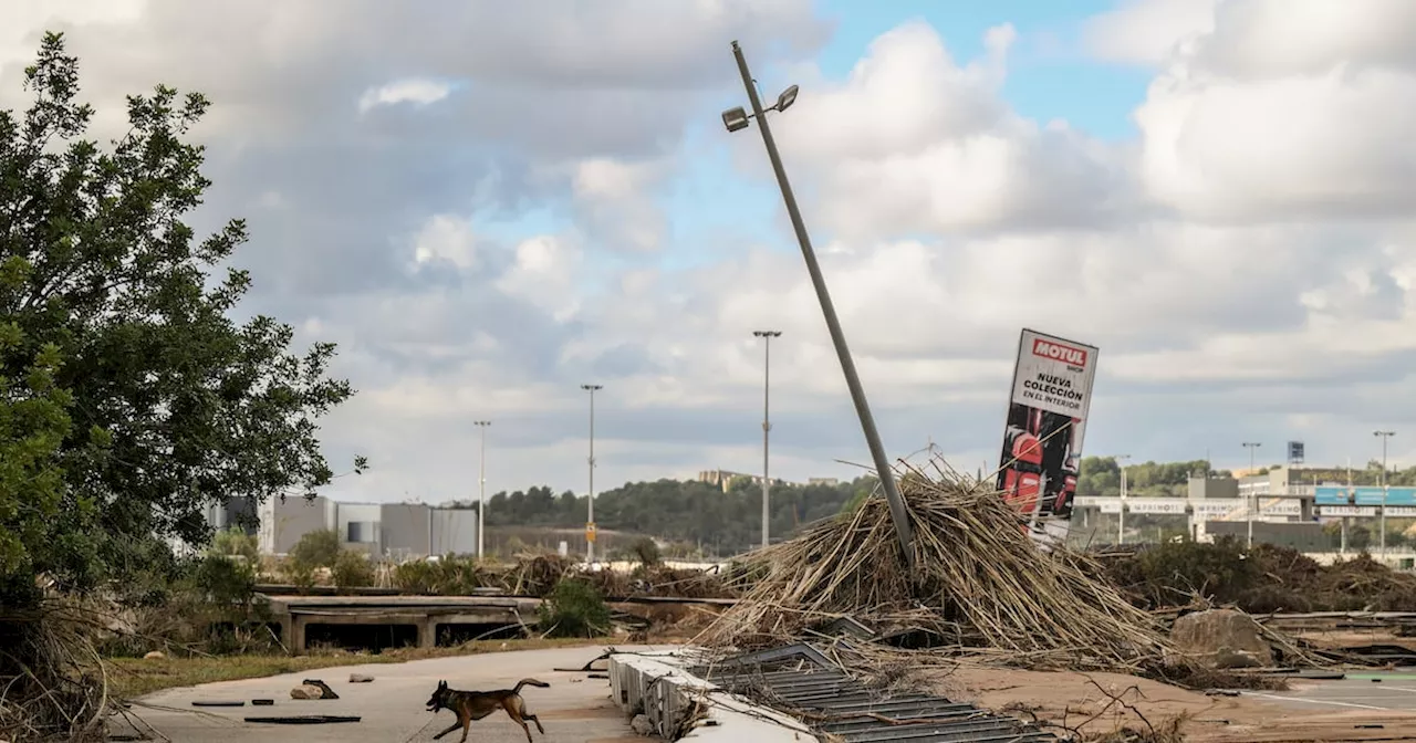 Why have Fine Gael and Fianna Fáil blocked a €3.15bn climate fund?