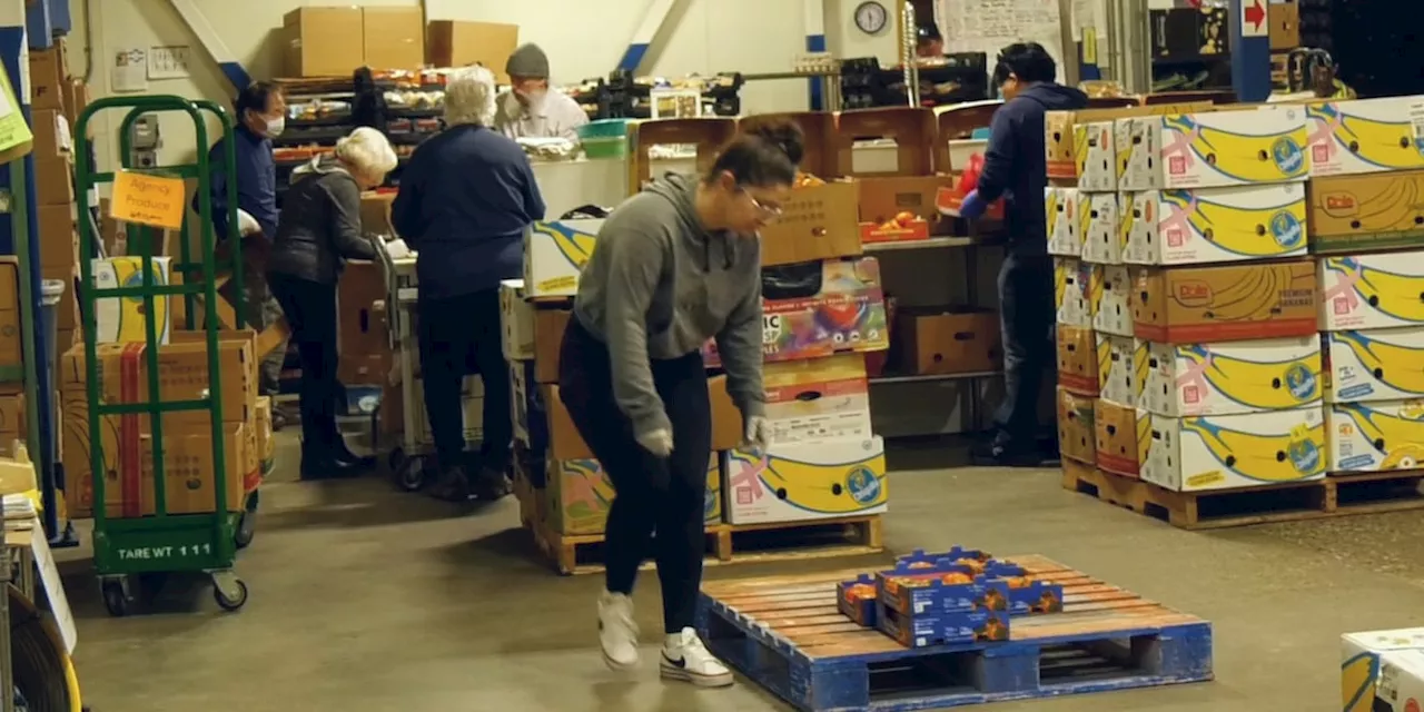 Food Bank calls on community during the lead-up to Thanksgiving