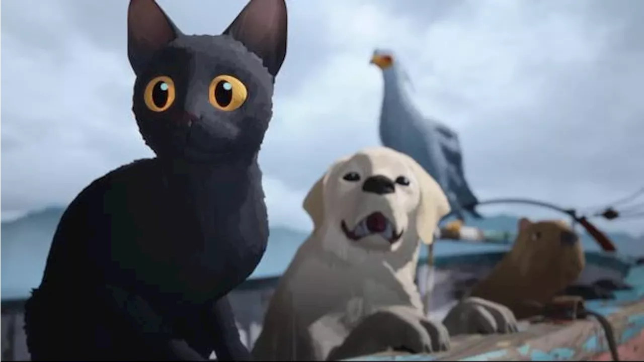 Rekomendasi Film Hari Ini: 'Flow' Kisah Kucing Tanpa Dialog yang Unik dan Emosional