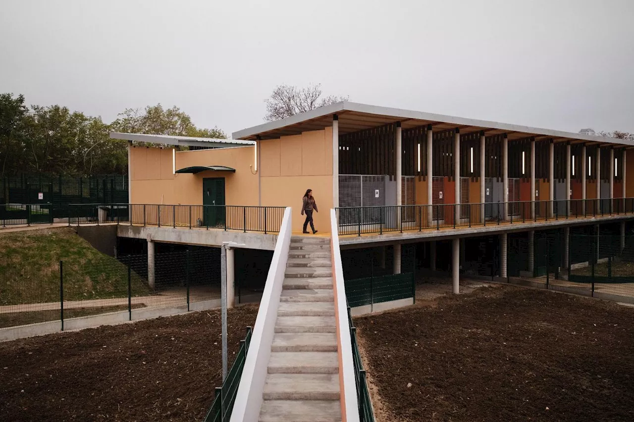 «C'est un plaisir d'être là»: le nouveau refuge de la SPA a ouvert ses portes à Gennevilliers