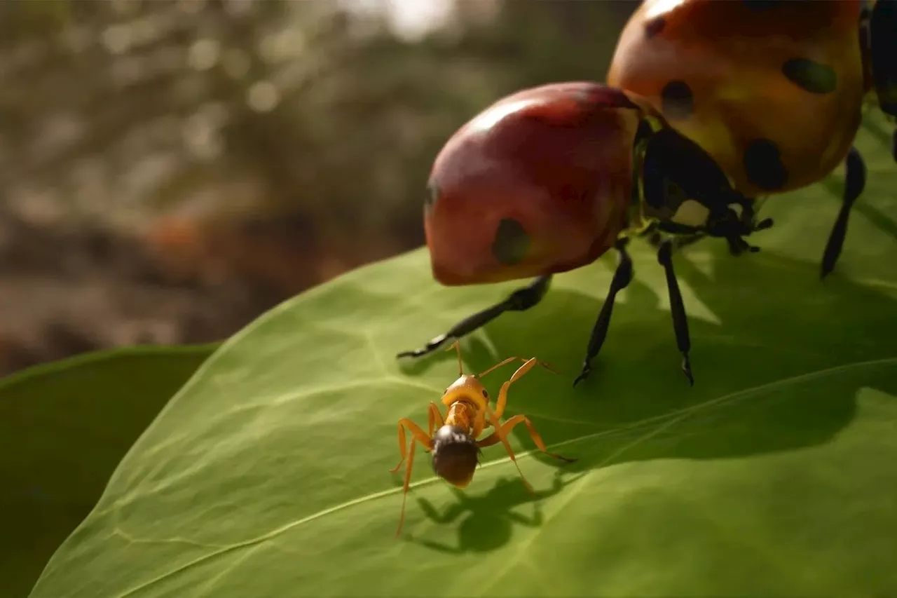 « Les Fourmis », trois choses à savoir sur le best-seller de Bernard Werber adapté en jeu vidéo