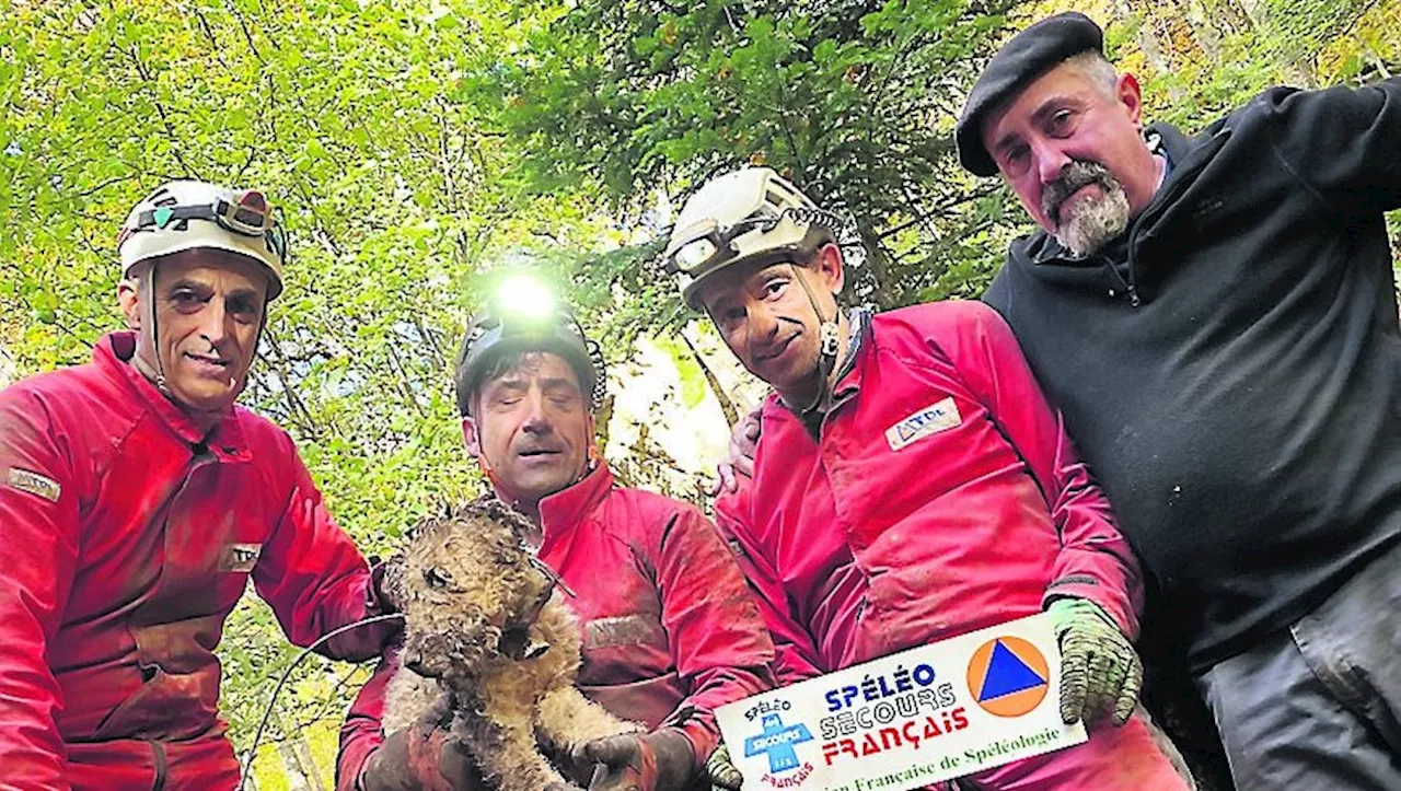 Une équipe de pompiers spéléo sauve Lutin, le petit chien de chasse tombé dans une cavité