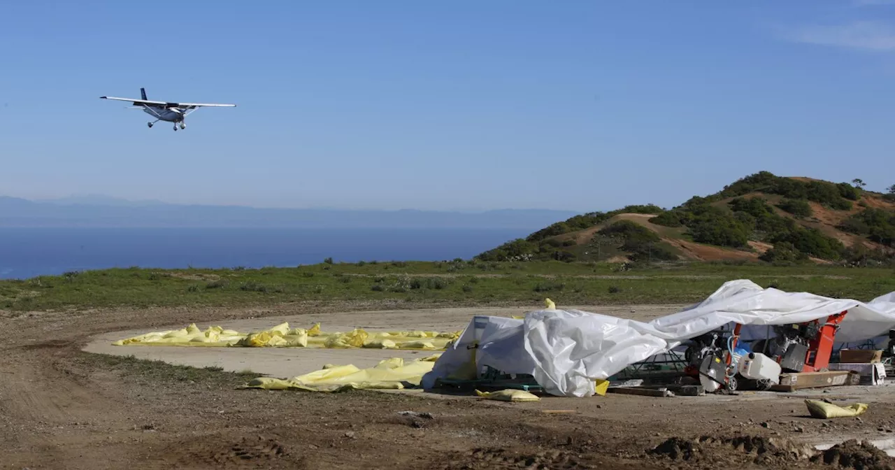 New details emerge in fatal Catalina Island plane crash that killed 5 people