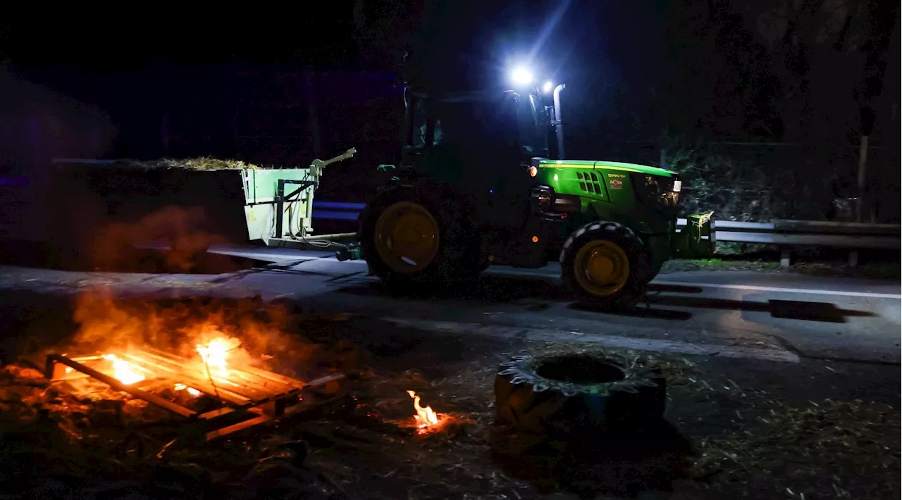 Crise agricole : Europe-Mercosur, 'l'accord qui pourrait mettre le feu aux poudres', préviennent les syndicats