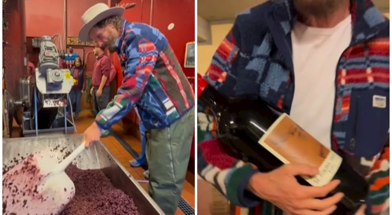 Jovanotti, prodotto il suo primo vino Teresina in onore della figlia: «Oggi abbiamo svinato la vendemmia»