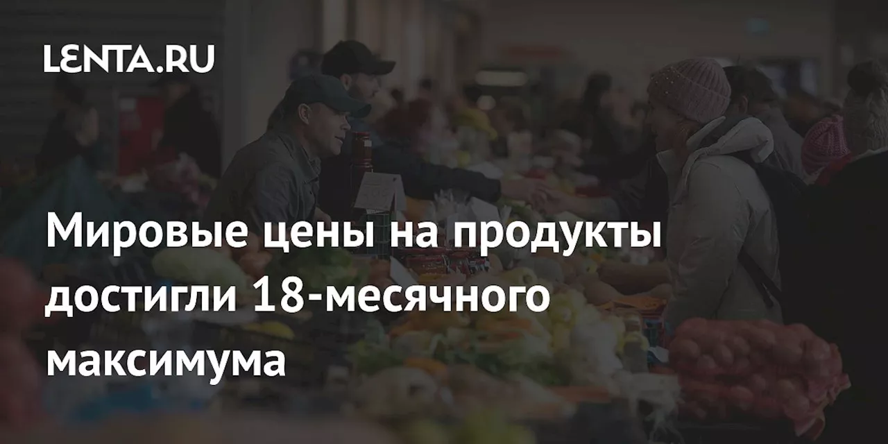 Мировые цены на продукты достигли 18-месячного максимума