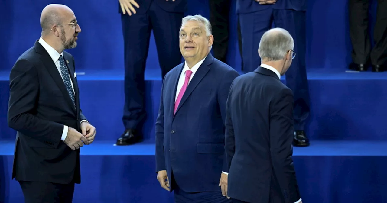 Orban e Trump, &#034;perché ho festeggiato a vodka&#034;: leader Ue di sasso