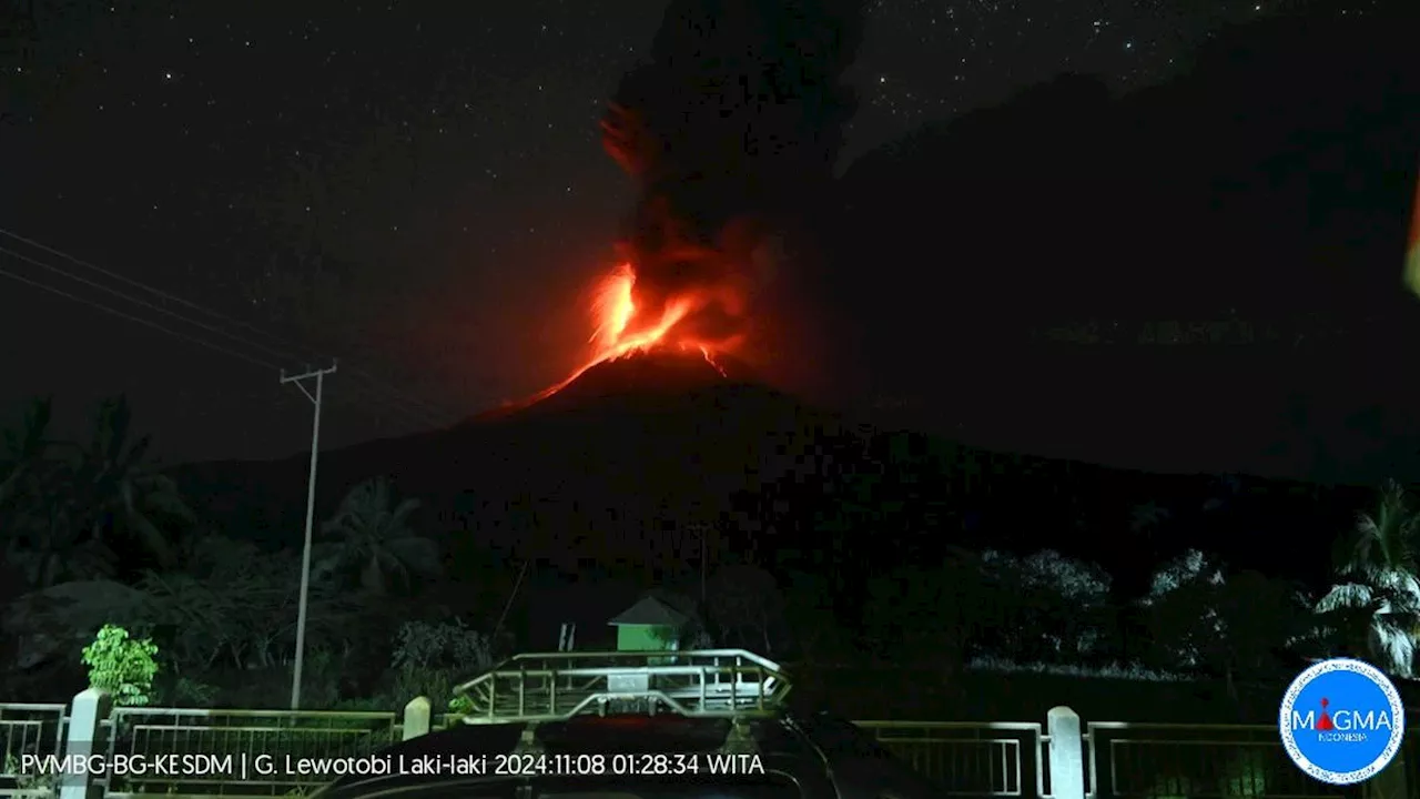 Gunung Lewotobi Laki-Laki Masih Bergejolak, Radius 7 Km dari Puncak Dikosongkan