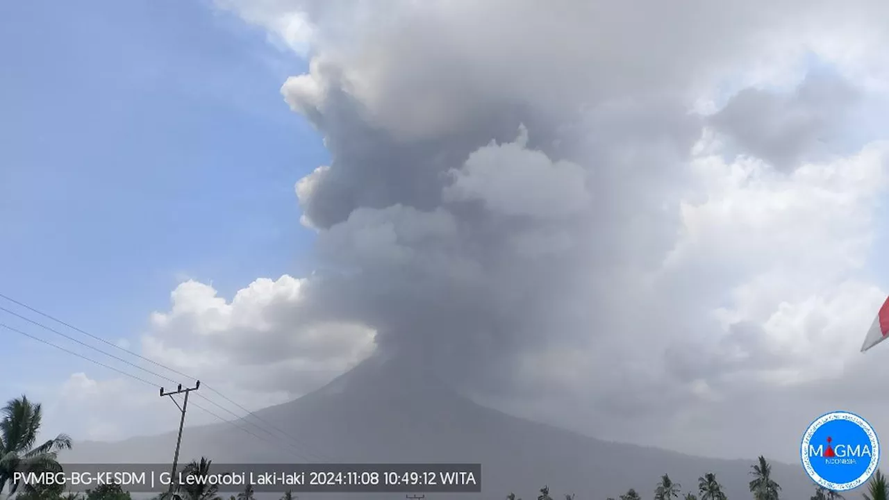 Gunung Lewotobi Laki-Laki Meletus Lagi Jumat Siang 8 November 2024, Kolom Abu Capai 2,5 Km