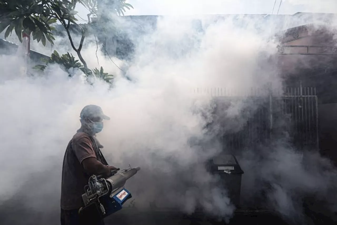 DBD di Klaten 2024 Mencapai 1.129 Kasus, 31 Orang Meninggal