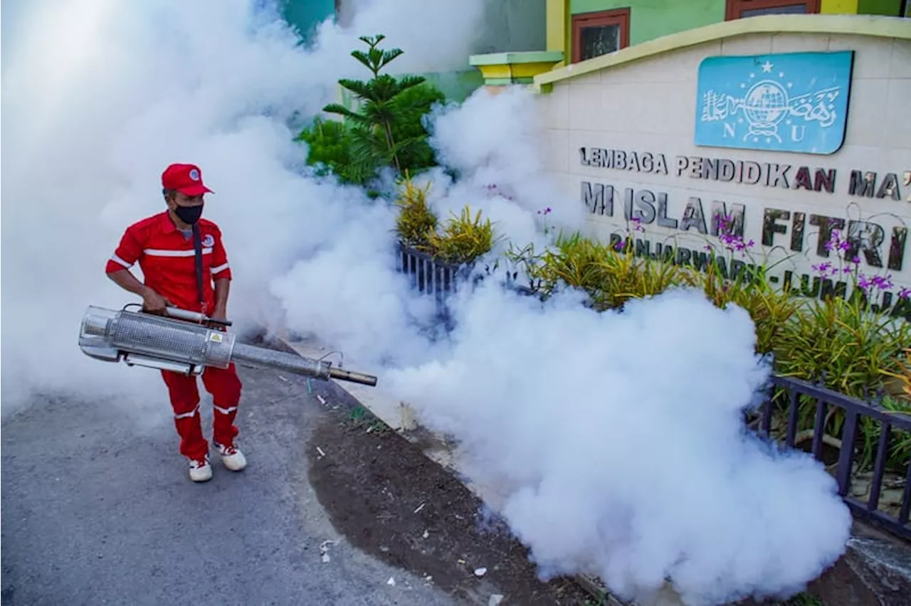 Pemkot Surabaya Minta Warga Waspadai DBD di Musim Hujan