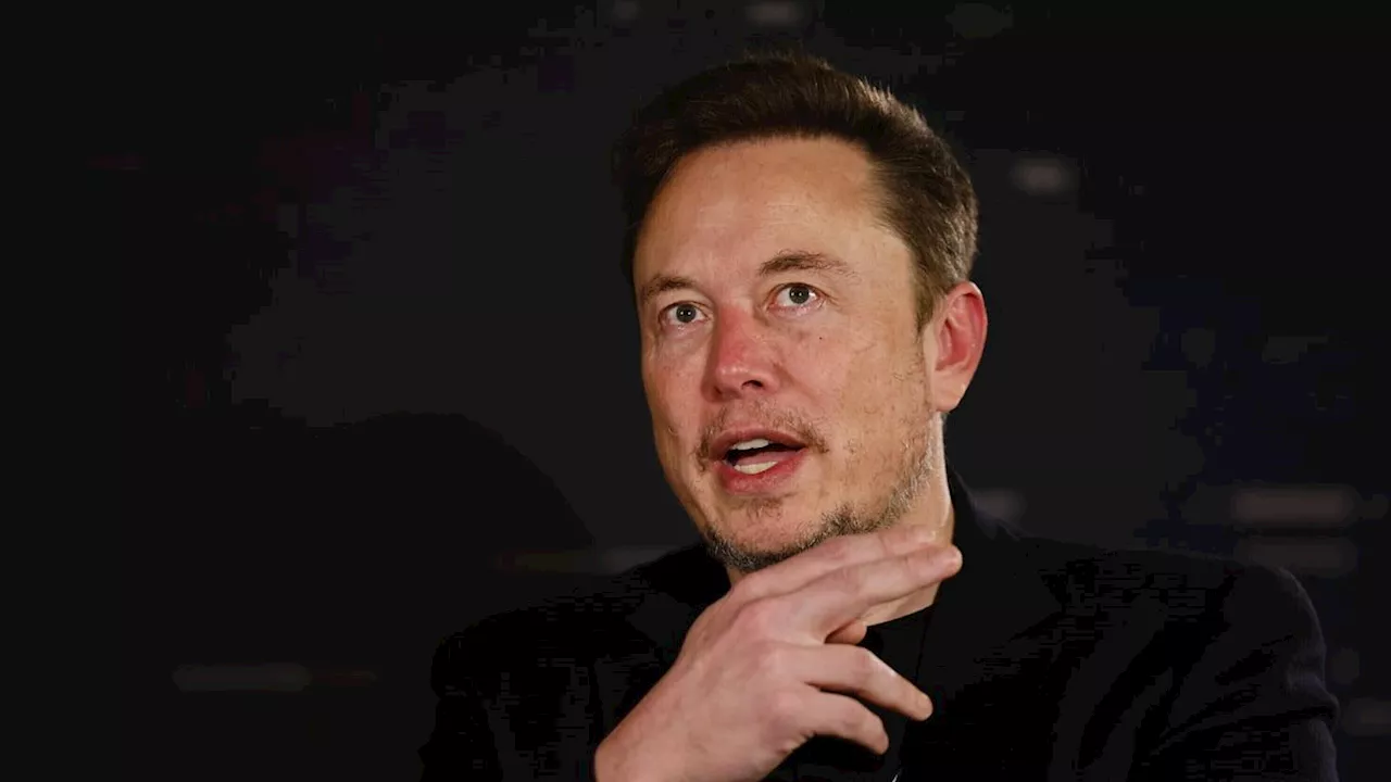 Musk attacca Scholz, Berlino replica: 'Su X libertà per gli stupidi'