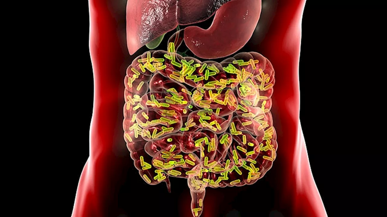 Changes in Gut Microbiome Signal Rheumatoid Arthritis Onset