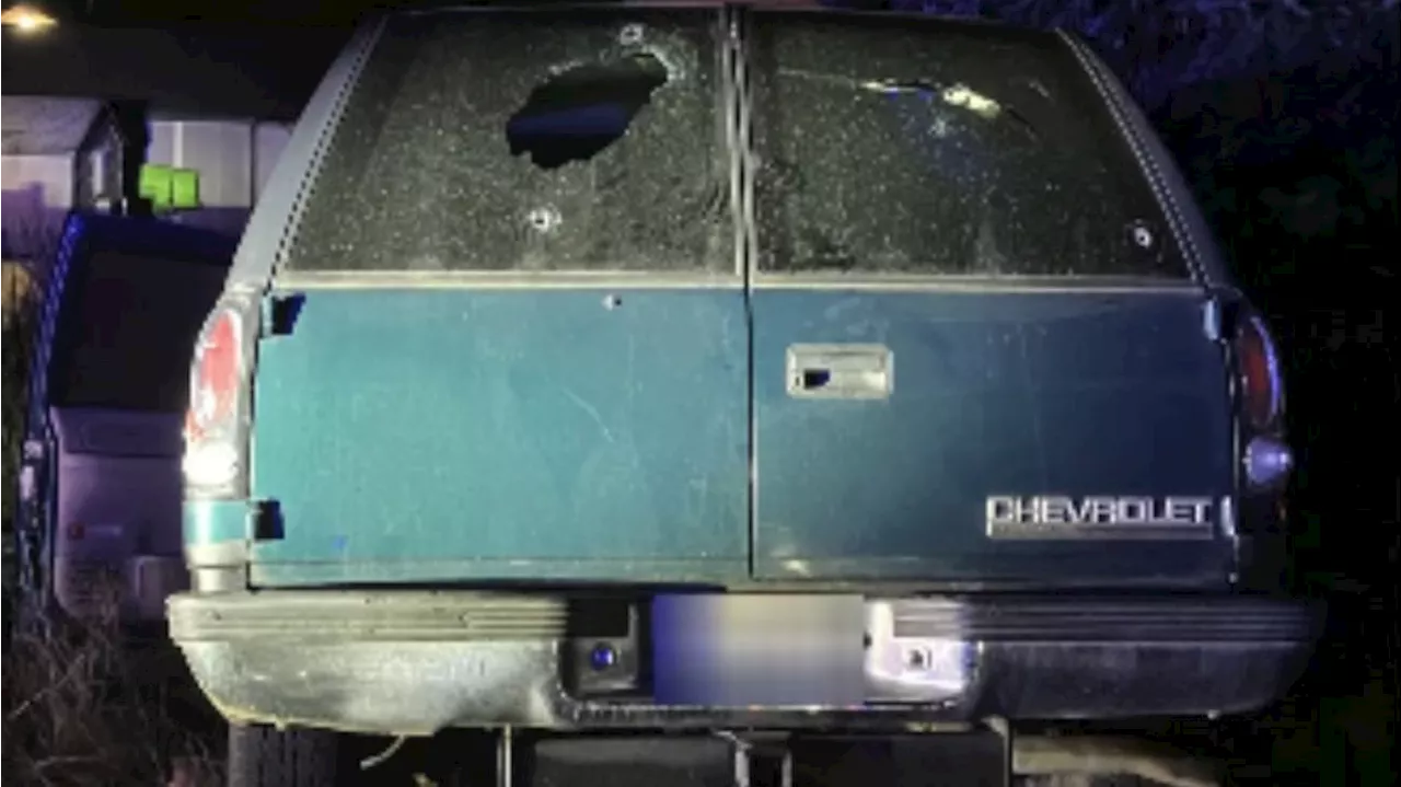 Watch: Pierce County deputies shot at in midst of stolen SUV arrest