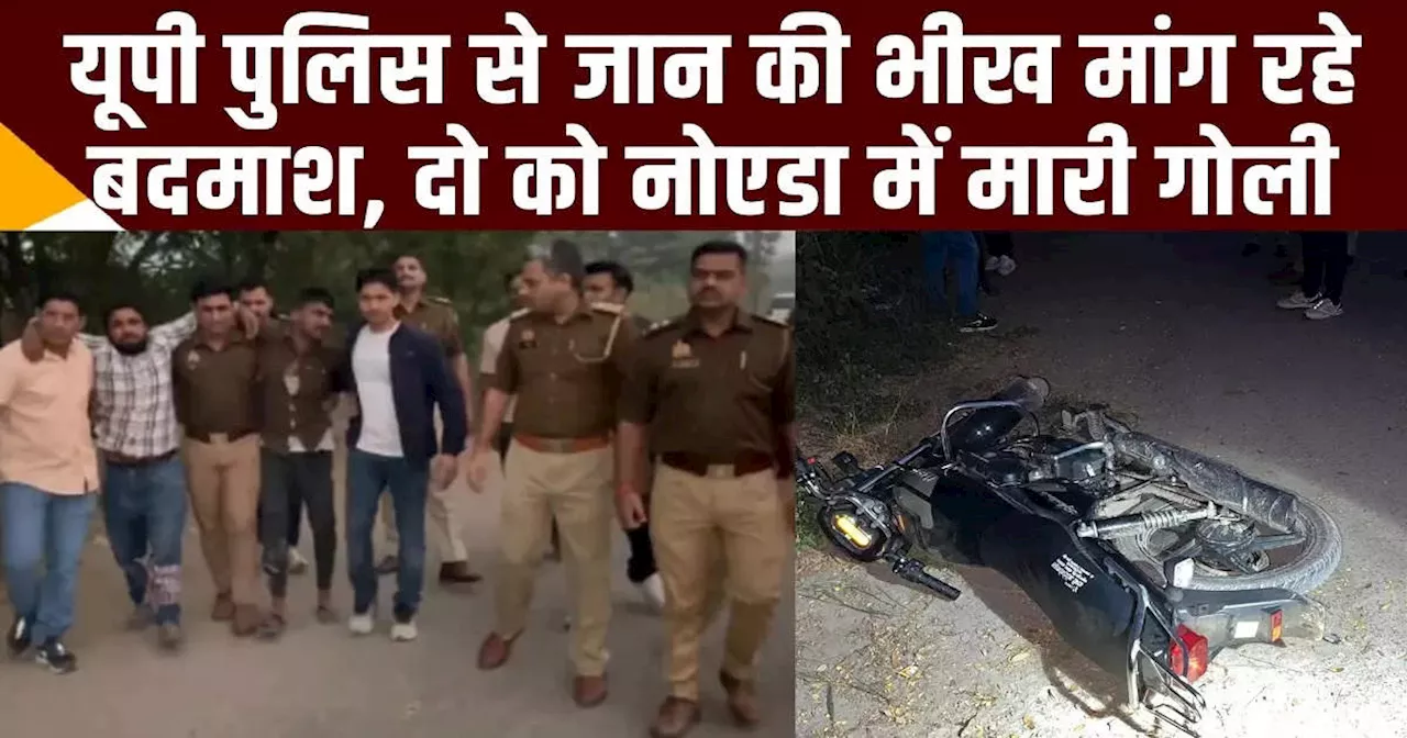 इस बार मुझे छोड़ दो, भविष्य में गलत काम नहीं करूंगा... नोएडा पुलिस के सामने मुठभेड़ के दौरान गिड़गिड़ाते बदमाश