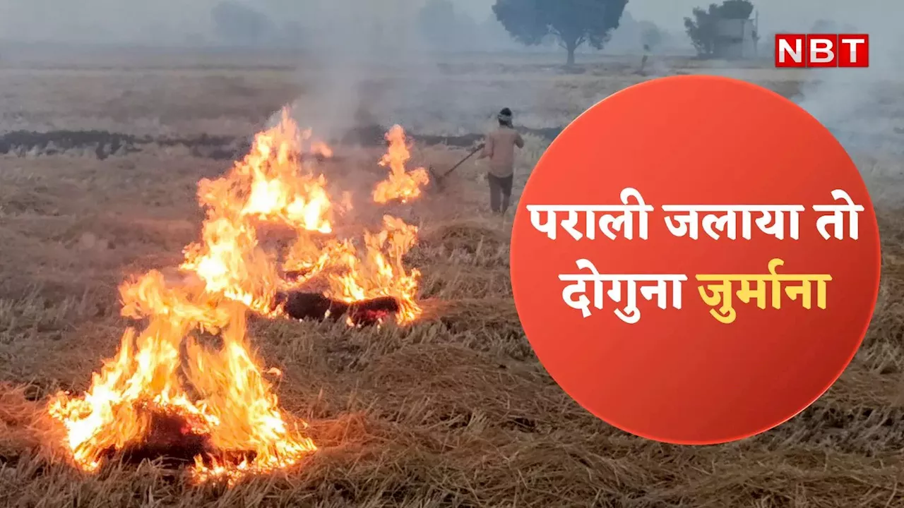 प्रदूषण के बीच फैसला, पराली जलाई तो किसानों पर लगेगा दोगुना जुर्माना,नया नोटिफिकेशन जारी