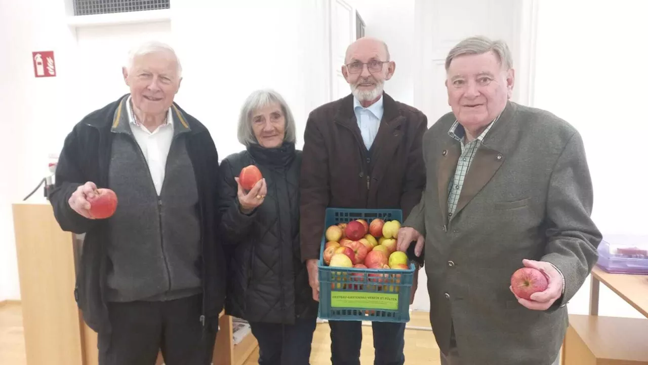 Obstbau-Gartenbau-Verein St. Pölten verteilte Äpfel