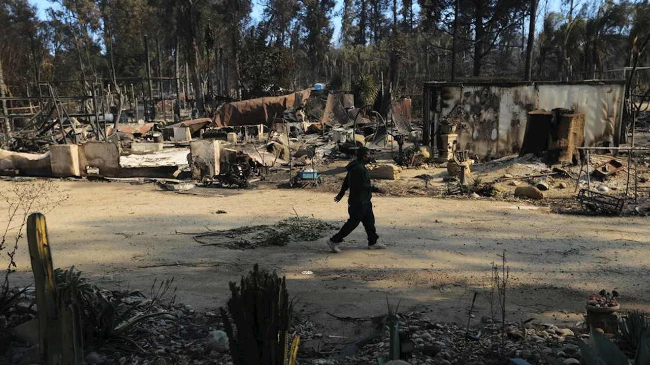 Tientallen woningen verwoest door bosbrand Californië, harde wind neemt af