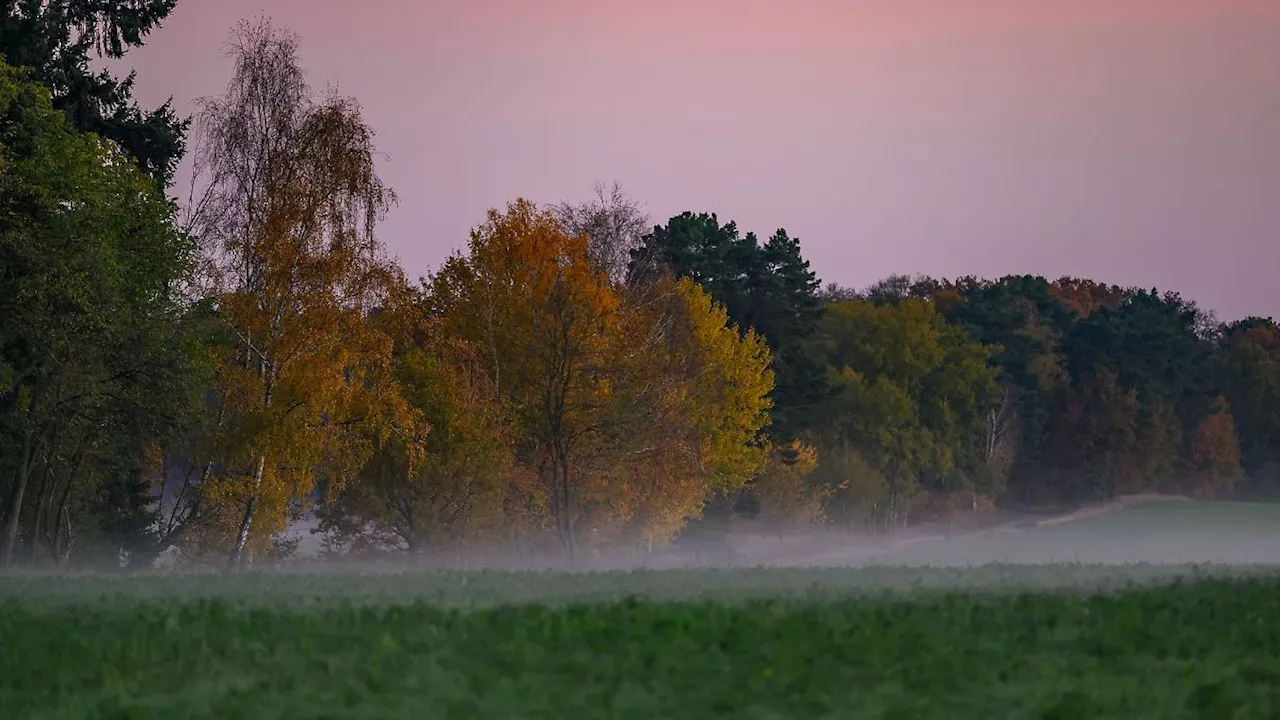 Berlin & Brandenburg: Ruhiges und kühles Herbstwetter in Brandenburg