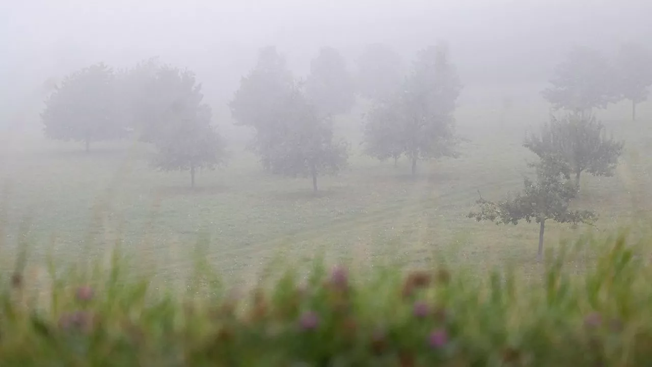 Niedersachsen & Bremen: Nebel und Wolken in Niedersachsen und Bremen