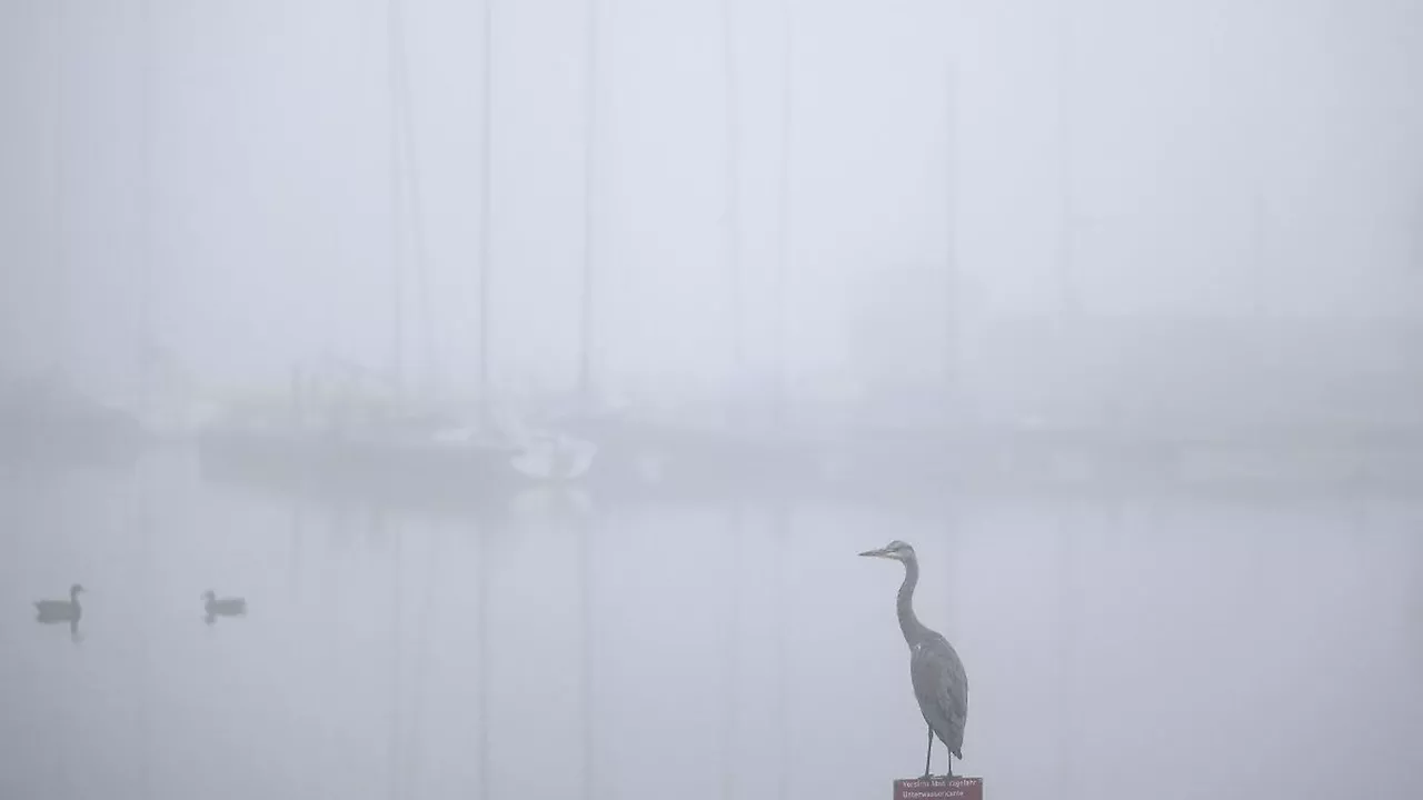 Nordrhein-Westfalen: Nebel und herbstliche Temperaturen in Nordrhein-Westfalen