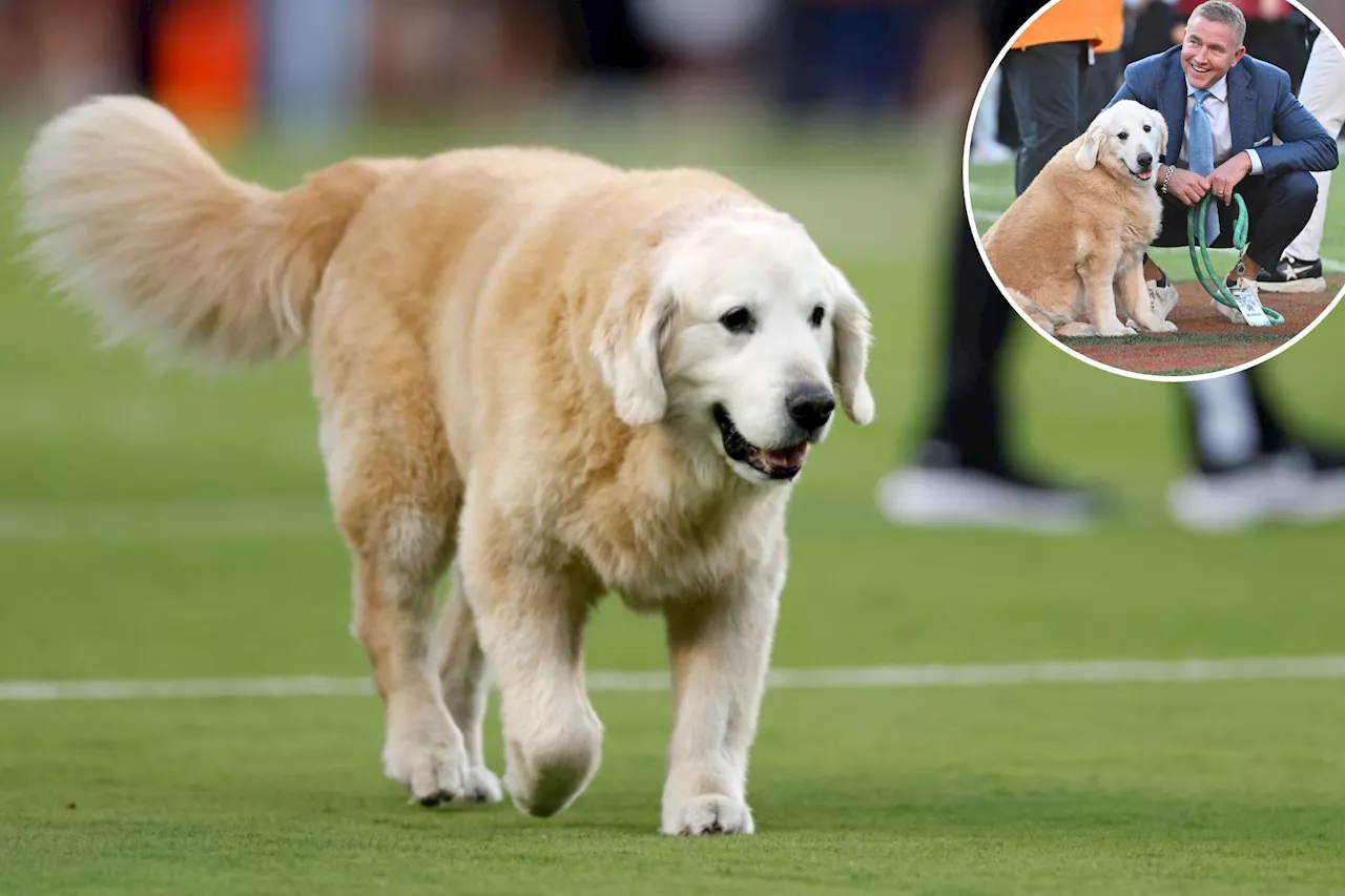 Bengals-Ravens game was 'very challenging' for Kirk Herbstreit to call after beloved dog Ben's death