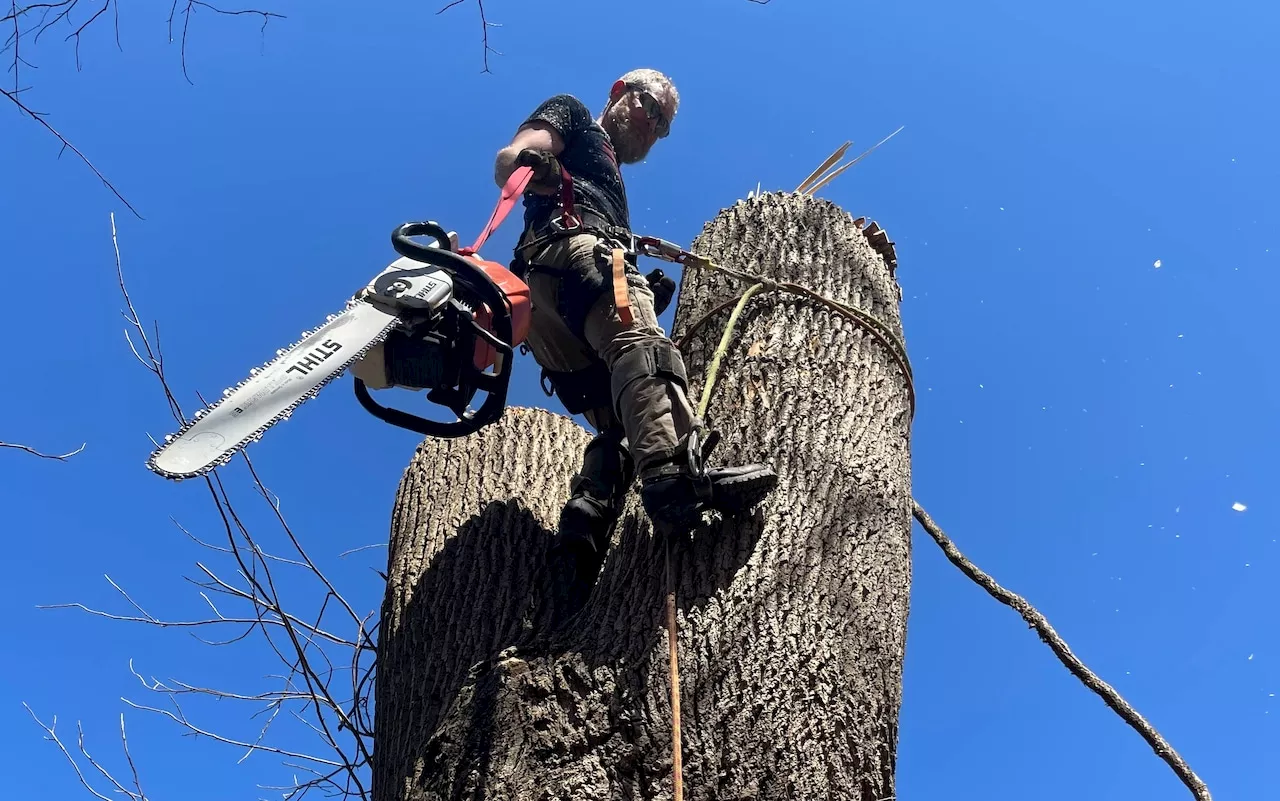 Dauphin County man killed during hurricane relief effort ‘would lend a hand to anyone’