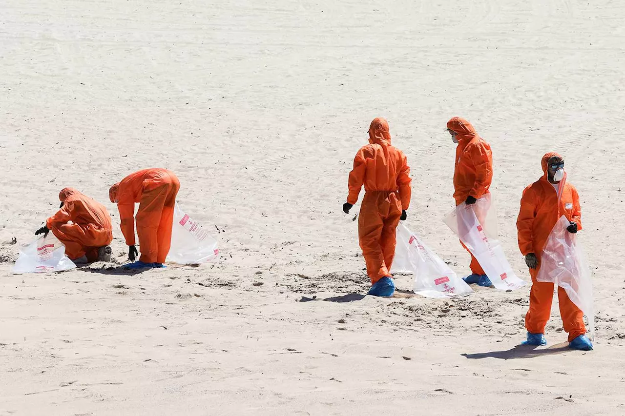 Scientists Reveal ‘Disgusting’ Truth Behind Mysterious Balls That Shut Down Beaches in Australia