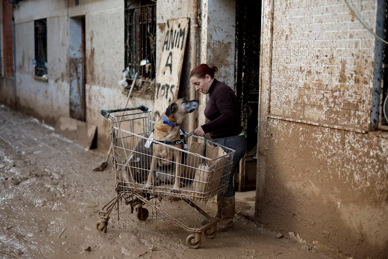  Una riera provoca daños en Girona mientras continúan los trabajos de búsqueda y recuperación en ...