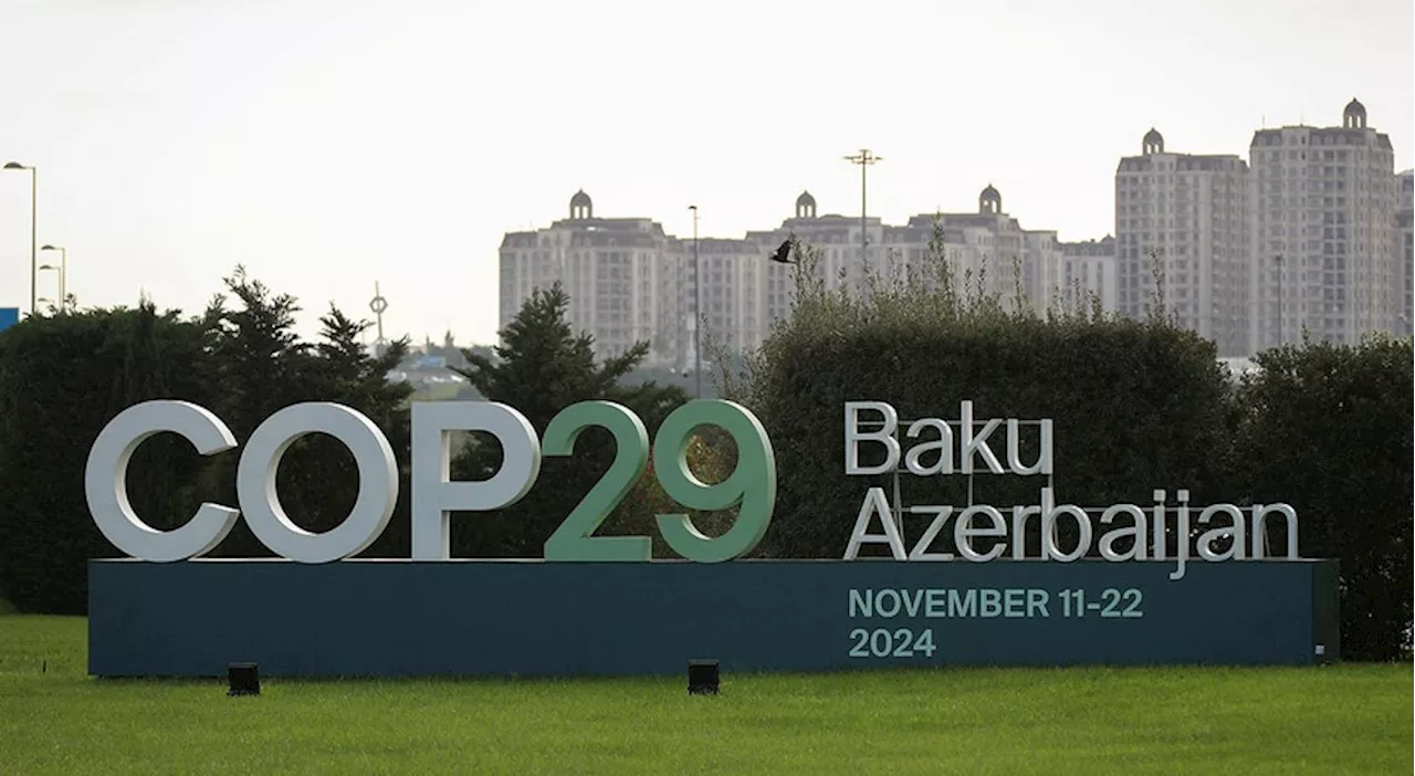 Chefe executivo da COP29 filmado a promover acordos de combustíveis fósseis