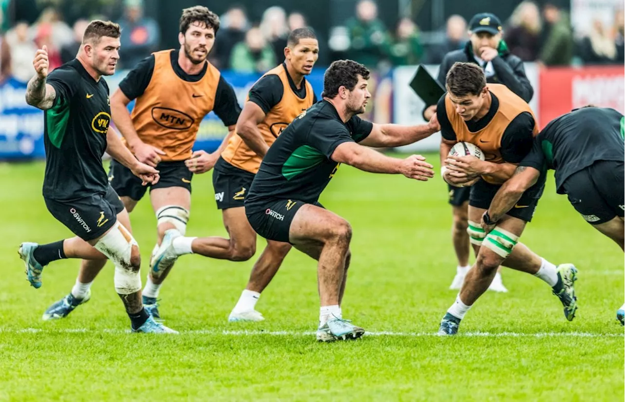 Louw breaks down Bok back-row combo