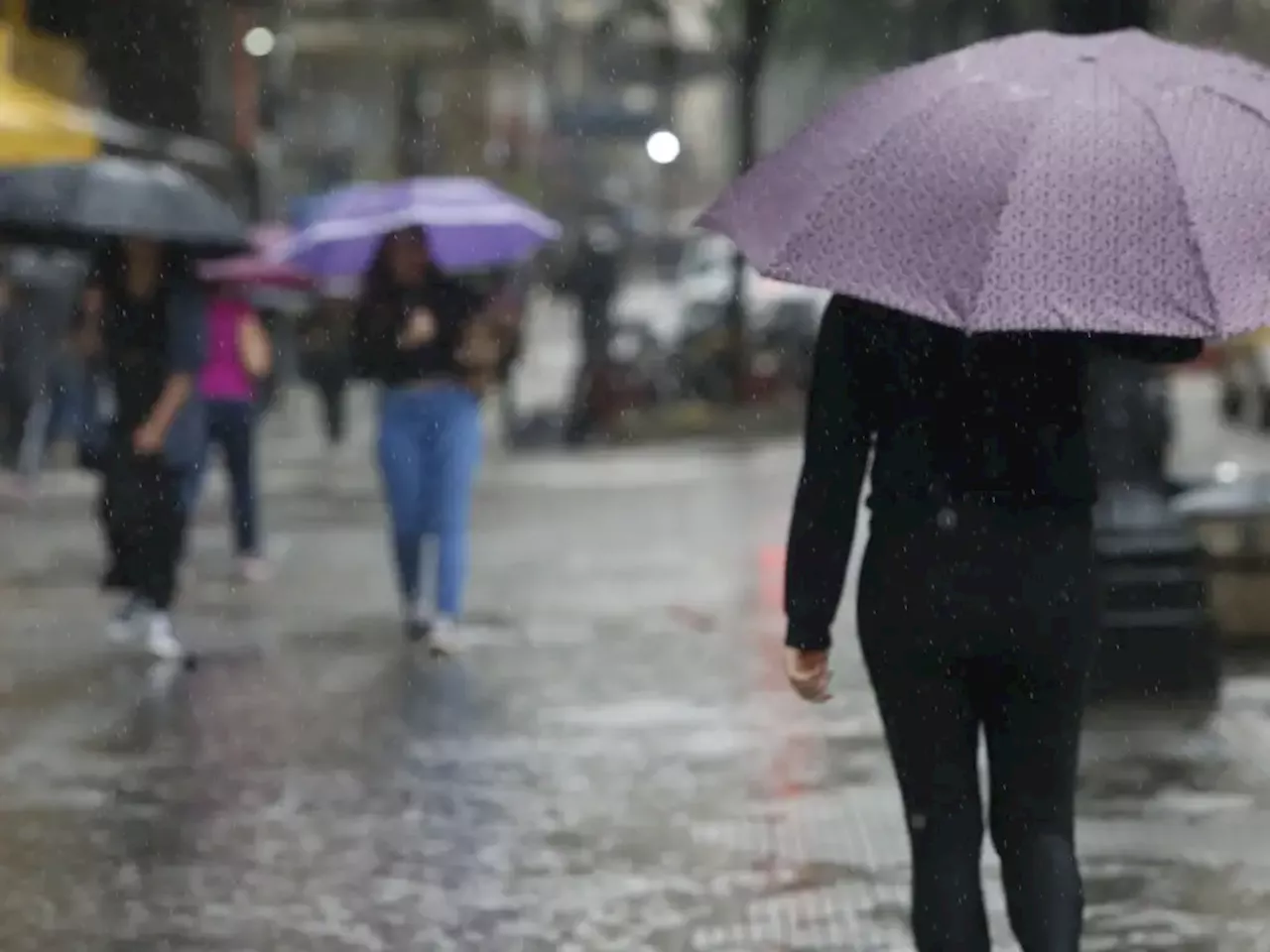 Tempestade em SP provoca queda de árvores e trânsito de mais de 800 km