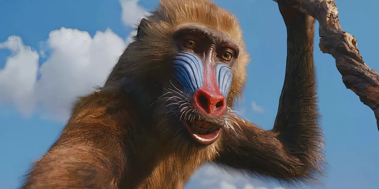 Mufasa Meets Zazu, Rafiki & Simba's Mother For The First Time In Lion King Prequel Trailer