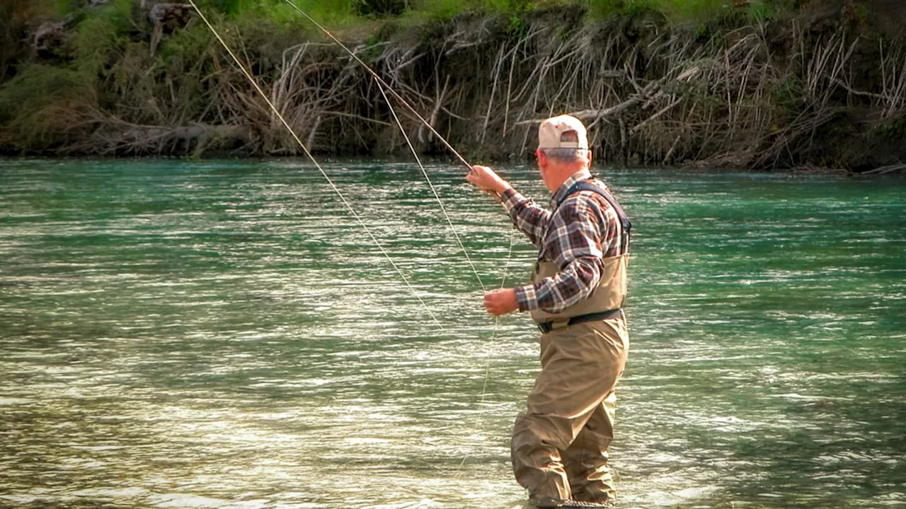 Fly Casting: From Beginner to Expert With This No-Nonsense Approach