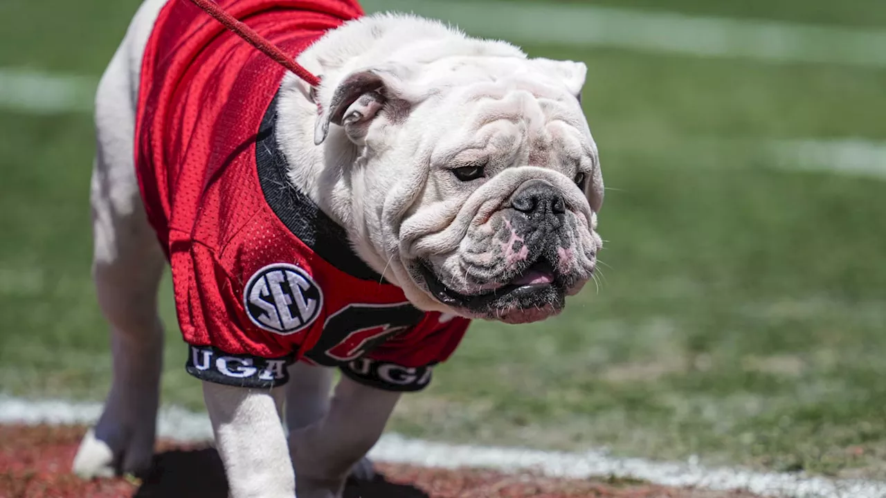 WATCH: Georgia Football Releases Trailer Ahead of Ole Miss Game