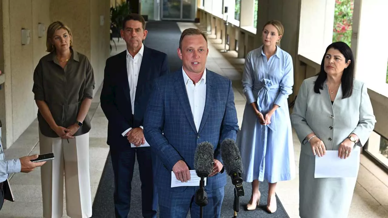 Miles unveils shadow cabinet as he settles into Qld opposition life