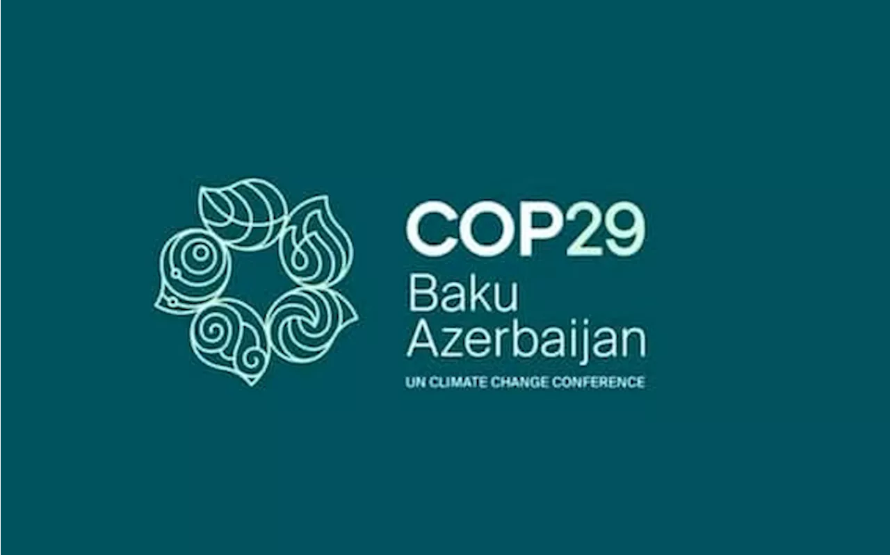 Cop29, Conferenza sul clima a Baku: programma, temi e date