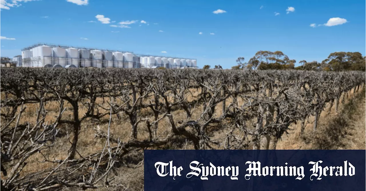 ‘A lot of pain’: The hangover looming from Australia’s budget-wine boom