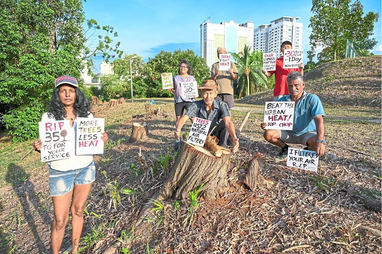 Replant 35 trees, MBSJ urged