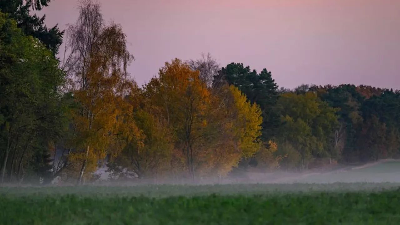 Wetter: Ruhiges und kühles Herbstwetter in Brandenburg