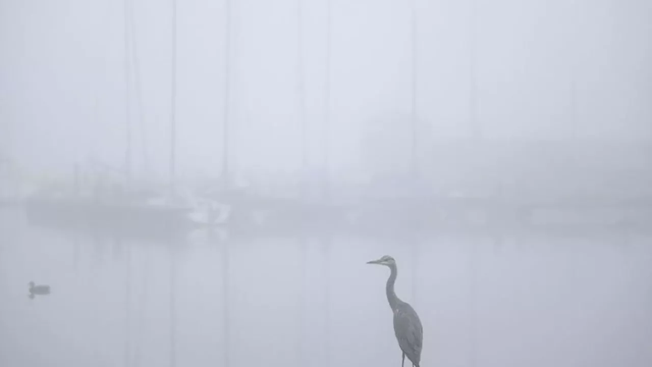 Wettervorhersage: Nebel und herbstliche Temperaturen in Nordrhein-Westfalen