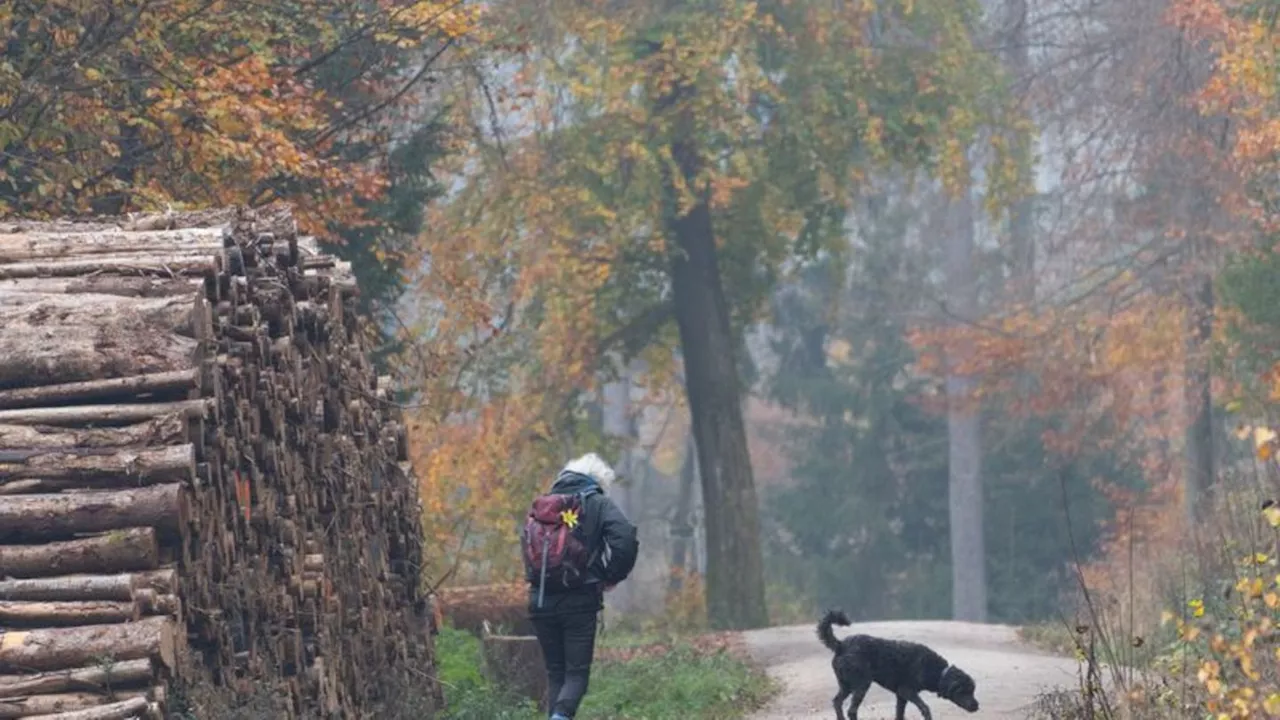 Wettervorhersage: Wetter in Hessen vor allem grau