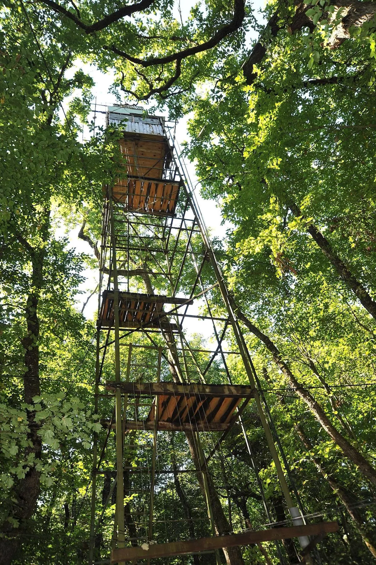 Pyrénées-Atlantiques : un homme trouve la mort en chutant d’une palombière