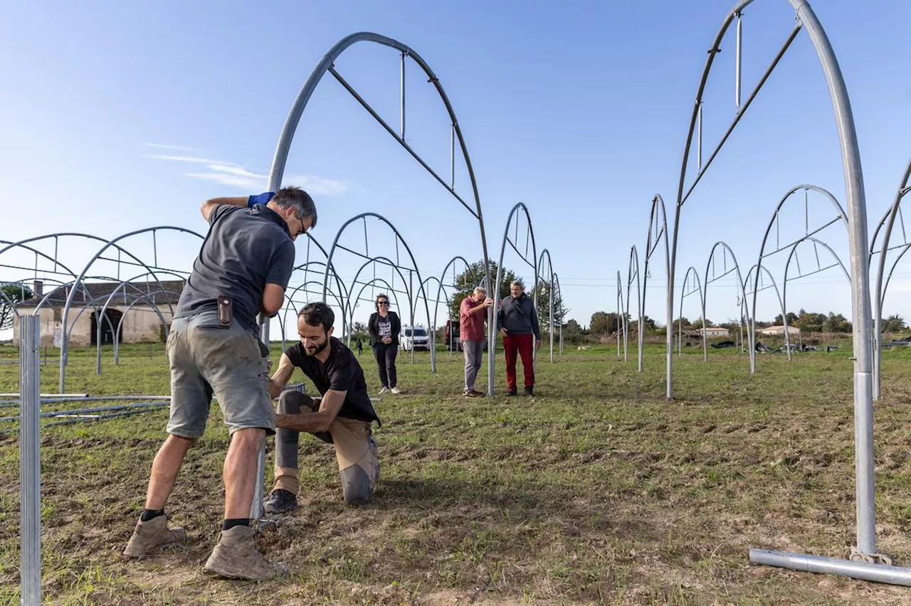 Sommet Agroécologie Bordeaux : comment développer une pratique « en perpétuelle évolution »