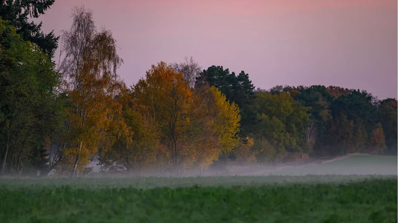 Herbstwetter in Berlin: Am Wochenende häufiger Sonne bei einstelligen Temperaturwerten