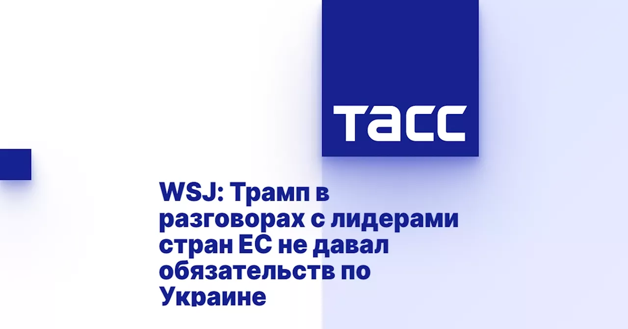 WSJ: Трамп в разговорах с лидерами стран ЕС не давал обязательств по Украине