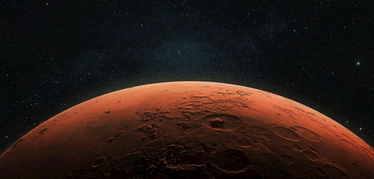 Trump victory a boost to Musk's Mars dream